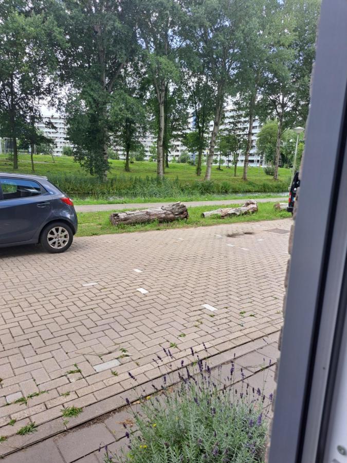 Dubbelink 3A Apartment Amsterdam Ngoại thất bức ảnh