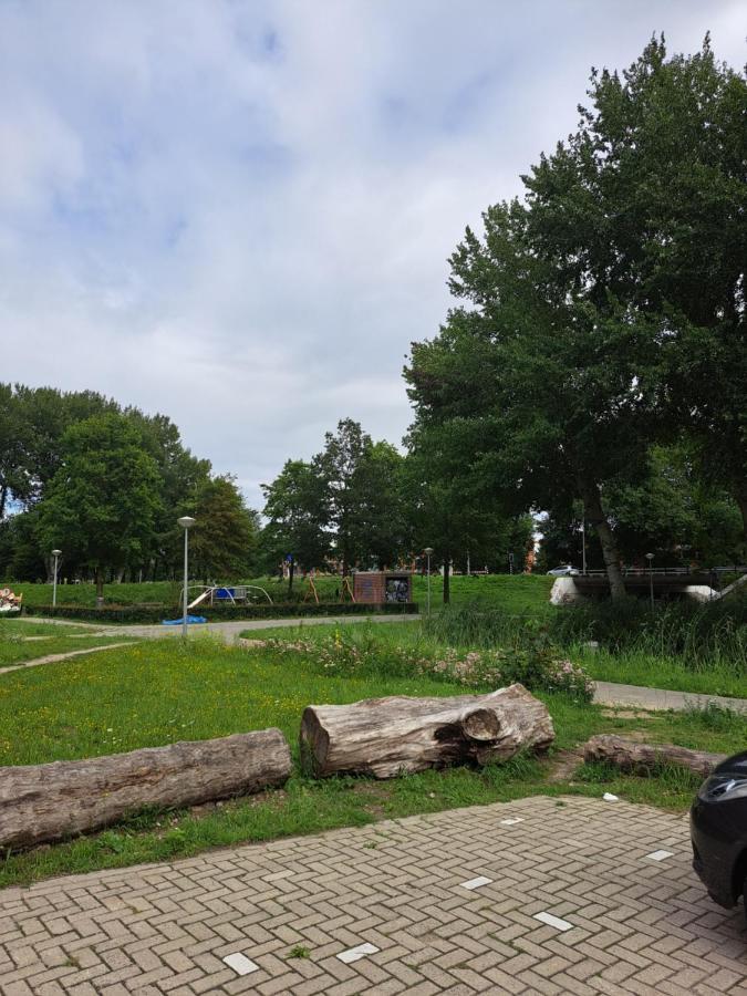 Dubbelink 3A Apartment Amsterdam Ngoại thất bức ảnh